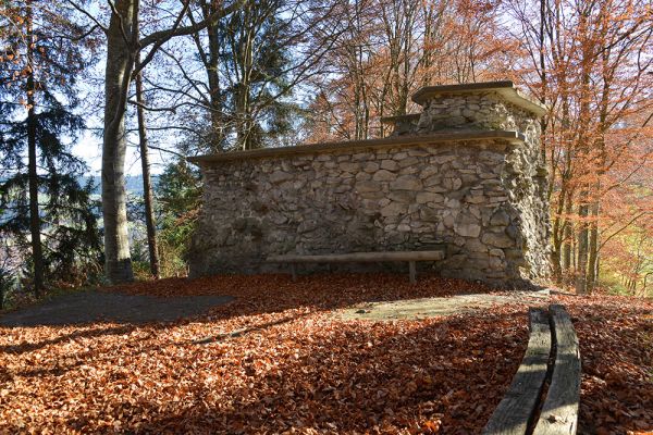 Ruine Wartenstein 