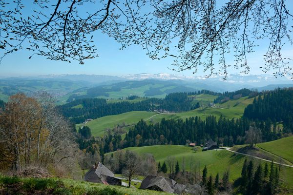 Ausblick von Moosegg mit Langnau