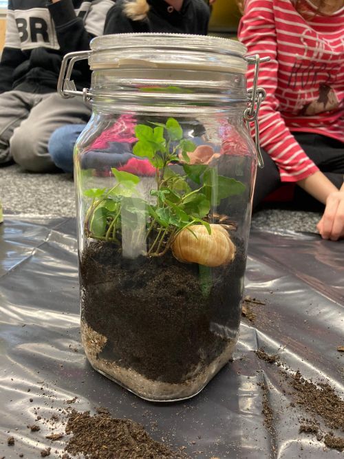 NMG-Thema Regenwald im Glas