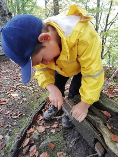 Kindergarteneinblicke 2.0