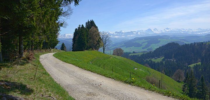 Headerbild Beratungsstellen