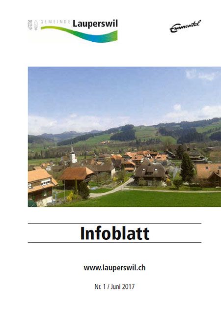 Informationsblatt Juni 2017