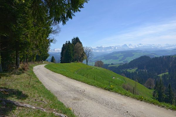 Waldhäusern Berner Alpen